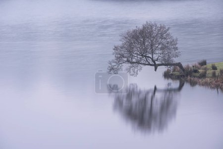 Téléchargez les photos : Beautiful Winter landscape image of Loughtrigg Tarn on misty morning with calm water and foggy countryside in the background - en image libre de droit