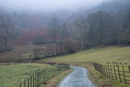 Téléchargez les photos : Belle image de paysage d'hiver de la route autour de Loughtrigg Tarn par matin brumeux avec de l'eau calme et campagne brumeuse en arrière-plan - en image libre de droit