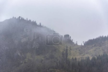 Téléchargez les photos : Beau paysage calme et paisible d'hiver au-dessus de Thirlmere dans le Lake District avec brouillard et couches d'arbres visibles au loin - en image libre de droit