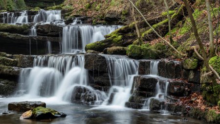Foto de Beautiful peaceful landscape image of Scaleber Force waterfall in Yorkshire Dales in England during Winter morning - Imagen libre de derechos