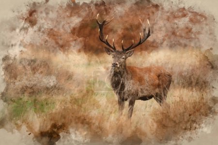 Photo for Digital watercolour painting of Beautiful image of red deer Stag Cervus Elaphus in Autumn Fall landscape scene with vibrant colors - Royalty Free Image