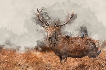 Foto de Pintura digital en acuarela de Hermosa imagen de ciervo rojo Cervus Elaphus en otoño Escena de otoño con colores vibrantes - Imagen libre de derechos