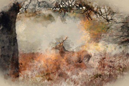 Photo for Digital watercolour painting of Beautiful red deer stag Cervus Elaphus wild animal in Autumn landscape woodland setting - Royalty Free Image