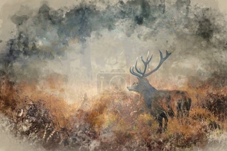 Digital watercolour painting of Beautiful red deer stag Cervus Elaphus wild animal in Autumn landscape woodland setting