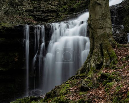 Foto de Hermosa imagen dramática del paisaje de la cascada Scaleber Force en Yorkshire Dales en Inglaterra durante la mañana de invierno - Imagen libre de derechos