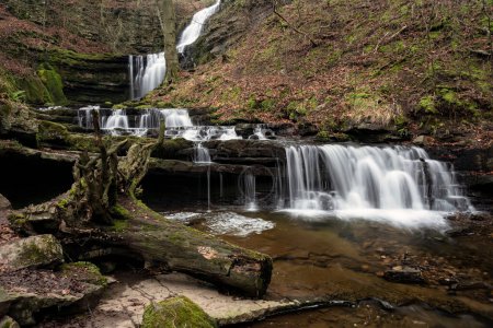 Téléchargez les photos : Beautiful peaceful landscape image of Scaleber Force waterfall in Yorkshire Dales in England during Winter morning - en image libre de droit