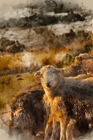 Foto de Pintura digital en acuarela de Hermosa imagen de ovejas alimentándose en la madrugada Luz del amanecer de invierno en Lake District en el campo inglés - Imagen libre de derechos