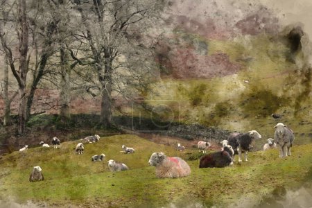 Téléchargez les photos : Aquarelle numérique de Belle image de paysage de moutons à la ferme aux côtés de Loughrigg Tarn dans Lake District par un matin d'hiver - en image libre de droit
