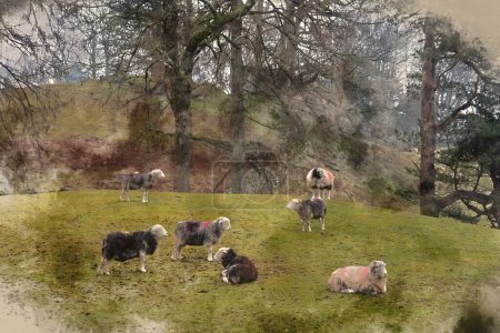 Téléchargez les photos : Aquarelle numérique de Belle image de paysage de moutons à la ferme aux côtés de Loughrigg Tarn dans Lake District par un matin d'hiver - en image libre de droit