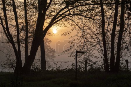 Foto de Hermoso amanecer brumoso en el campo inglés con cielo pastel suave y sensación de calma - Imagen libre de derechos