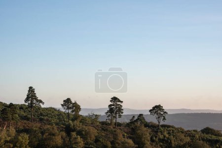 Téléchargez les photos : Belle fin d'été coucher de soleil avec des couleurs vives dans South Downs National Park Royaume-Uni - en image libre de droit