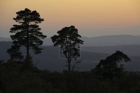 Foto de Hermosa puesta de sol tardía de verano con colores vibrantes en el Parque Nacional South Downs Reino Unido - Imagen libre de derechos