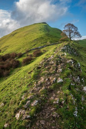 Photo for Beautiful landscape image of Chrome Hill in Autumn in Peak District National Park in English countryside - Royalty Free Image