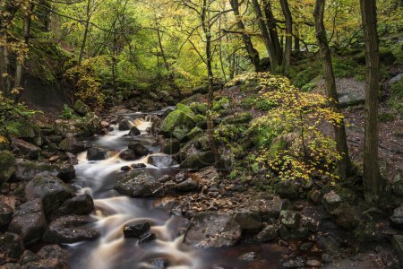 Foto de Impresionante imagen de paisaje otoñal de bosques y hojas doradas y río corriendo a través del valle profundo debajo - Imagen libre de derechos
