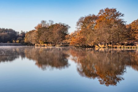 Foto de Hermoso otoño Otoño lago salida del sol neblina mañana vibrante paisaje imagen - Imagen libre de derechos