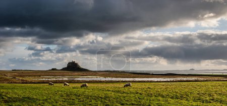 Photo for Stunning landscape image of Lindisfarne, Holy Island in Northumberland England during moody Winter day - Royalty Free Image