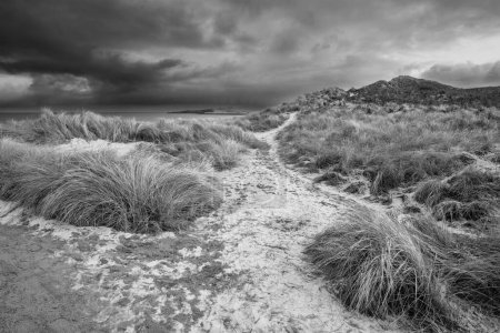 Téléchargez les photos : Beau paysage d'hiver insolite et lunatique noir et blanc de neige sur la plage d'Embleton Bay dans le Northumberland Angleterre - en image libre de droit