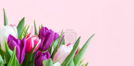 Photo for Beautiful romantic bouquet of pink, purple and white tulips on a pale pink background. Mothers day, Valentines Day, Birthday celebration concept with tulips. Greeting card. - Royalty Free Image