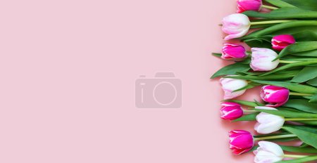 Photo for Beautiful romantic bouquet of pink, purple and white tulips on a pale pink background. Mothers day, Valentines Day, Birthday celebration concept with tulips. Greeting card. - Royalty Free Image