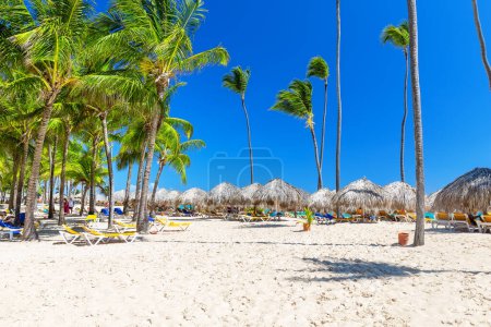 Photo for Beautiful white sandy beach of a luxury resort in Punta Cana, Dominican Republic. Coconut Palm trees on white sandy beach. View of nice tropical beach. - Royalty Free Image