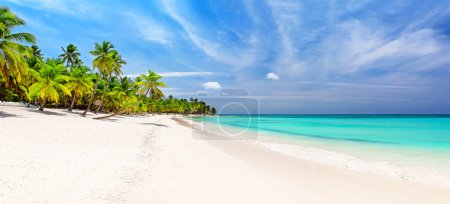 Photo for Panorama of white sandy beach with coconut palm trees in Caribbean sea, Saona island. Dominican Republic. Summer beach holiday background. - Royalty Free Image