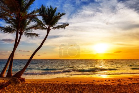 Photo for Silhouette of coconut palm trees against beautiful sunset on the tropical sea beach in Punta Cana, Dominican Republic. Summer vacation and nature travel adventure concept. - Royalty Free Image