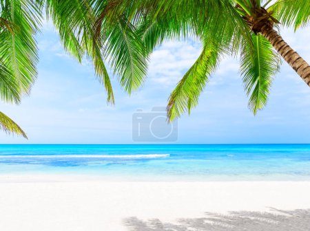 Photo for Coconut palm trees against blue sky and beautiful beach in Punta Cana, Dominican Republic. Vacation holidays background wallpaper. View of nice tropical beach. - Royalty Free Image