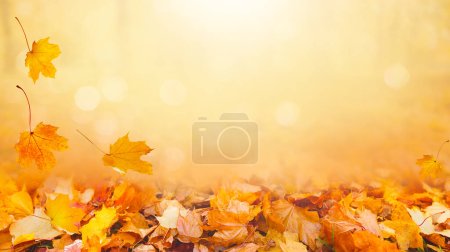 Herbstlandschaft, schöner Stadtpark mit abgefallenen gelben Blättern. Nahaufnahme von hellem Laub im sonnigen Herbstpark. Konzept der Herbstsaison. Goldener Herbst