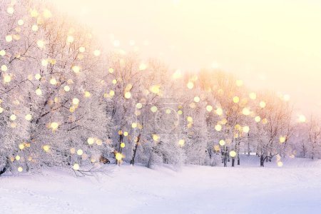 Photo for Winter fir tree christmas scene with sunlight. Fir branches covered with snow. Christmas winter blurred background with garland lights, holiday festive background. - Royalty Free Image