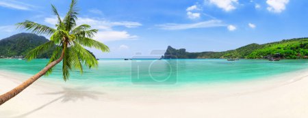 Foto de Panorama de botes de cola larga, palmera de coco y agua azul en la playa Loh Dalum en la isla Ko Phi Phi Don, Tailandia. Barcos de cola larga tradicionales y hermosa playa en las islas Phi Phi, Tailandia. - Imagen libre de derechos