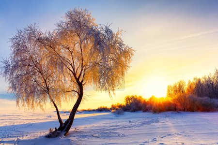 Foto de Hermoso paisaje de invierno con bosque, árboles cubiertos de nieve y amanecer. Púrpura paisaje de invierno con puesta de sol. - Imagen libre de derechos