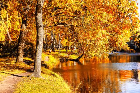 Foto de Paisaje con árboles de otoño coloridos y camino de sendero en el bosque de otoño. Bosque río en otoño naturaleza dorada. - Imagen libre de derechos