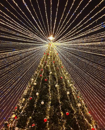 Foto de Vista inferior de un hermoso gran árbol de Navidad con bolas y guirnaldas luminosas sobre un fondo de cielo oscuro nocturno. Navidad invierno Navidad ciudad paisaje. - Imagen libre de derechos