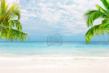 Foto de Hermosa playa de arena blanca con agua turquesa, palmeras de coco y cielo azul con nubes en Punta Cana, República Dominicana. Playa vacaciones verano fondo. - Imagen libre de derechos