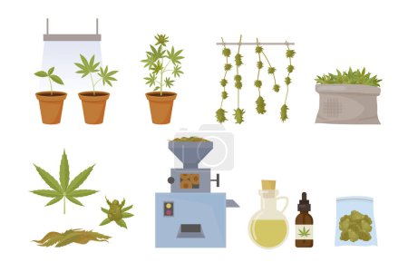 Cannabis-Produktion. Heilpflanzen züchten und Drogen legalisieren. Vektor-Cannabis und Marihuana-Karikaturen