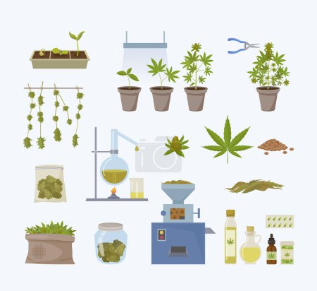 Illustration for Cannabis production. growth medical plants and making legalize drugs. Vector cannabis and marijuana cartoon illustrations - Royalty Free Image