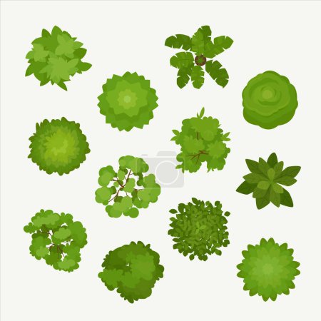 Illustration for Bushes, trees top view. different plants and leaves, nature greens landscapes set. vector cartoon flat green trees view from above. - Royalty Free Image