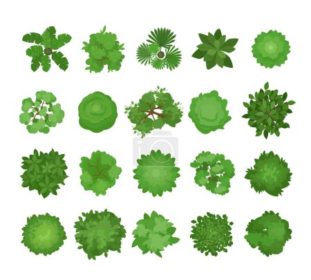 Illustration for Bushes, trees top view. nature greens landscapes set, different plants and leaves. vector cartoon trees view from above. - Royalty Free Image