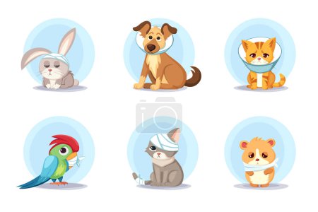 veterinary sick animals. cartoon cute animal characters collection, veterinarian treatment handicapped rehabilitation animals. vector cartoon characters collection.
