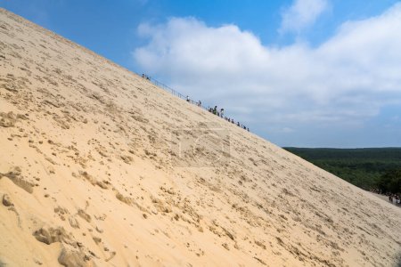 Téléchargez les photos : Sable dune du pilat près de Bordeaux en France - en image libre de droit