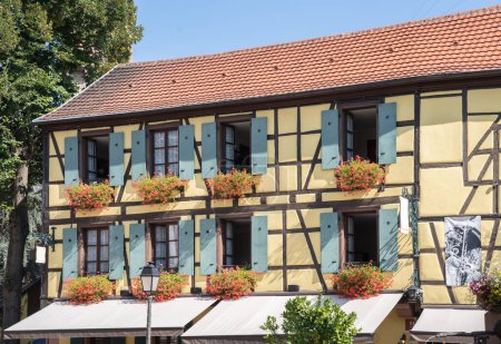 Téléchargez les photos : Colorful half-timbered houses in Ribeauville, Alsace, France - en image libre de droit