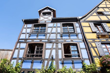 Téléchargez les photos : Maisons à colombages colorées à Riquewihr, Alsace, France - en image libre de droit