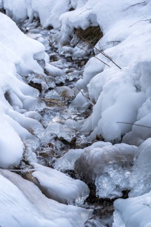 Photo for Icebound riverbank of forest river - Royalty Free Image