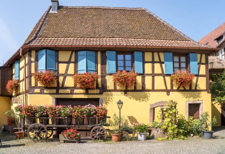 Téléchargez les photos : Maisons colorées à colombages à Eguisheim, Alsace, France - en image libre de droit
