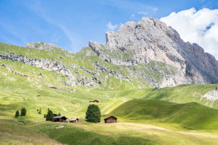 World famous Seceda peak in Dolomites Alps, South Tyrol (Alto Adige), Italy