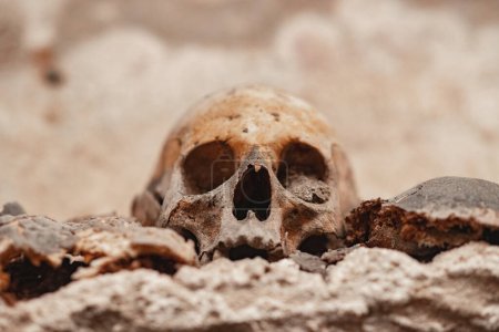 Vieux crânes dans les catacombes gros plan