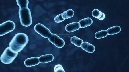 Foto de Microbioma de inmunidad humana. Antecedentes probióticos. Personas antecedentes de salud. 3d-renderizado - Imagen libre de derechos