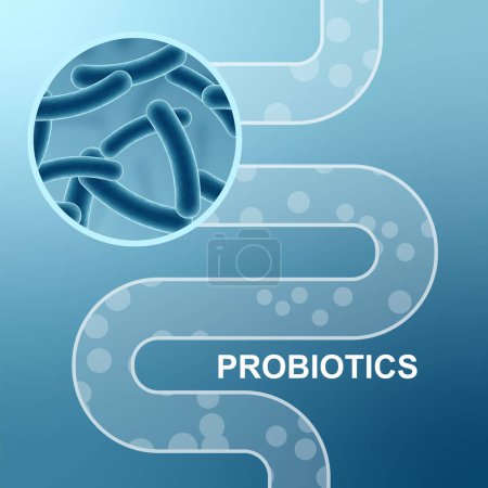 Illustration for Digestive system and probiotics. EPS10 vector - Royalty Free Image