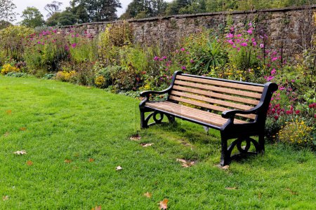 Photo for Margam country park garden with bench. Margam Country Park, Margam, Port Talbot, South Wales, United Kingdom - 15th of October 2022 - Royalty Free Image