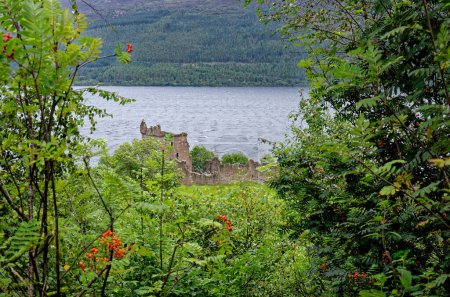 Photo for Scottish tourist attraction - Ruins of Urquhart Castle on the western shore of Loch Ness (site of many Nessie sightings) - Drumnadrochit, Highland, Scotland, United Kingdom - 1st of September 2012 - Royalty Free Image